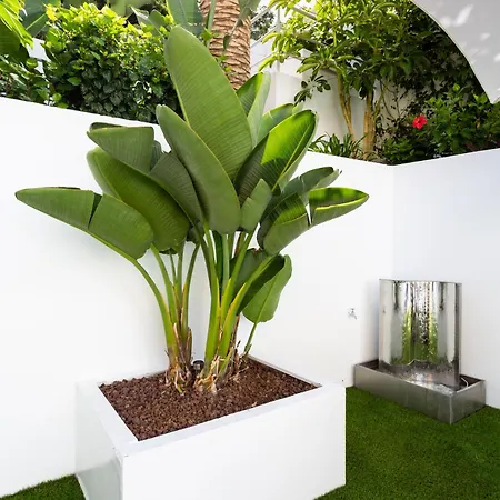 Apartamento Sol * Punta Del Hidalgo